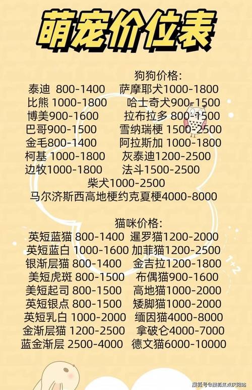 比熊犬要多少钱一只?