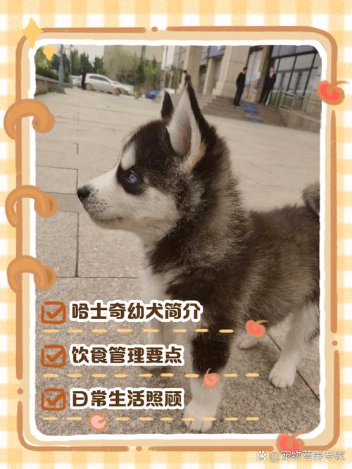 哈士奇几个月换毛持续多久
