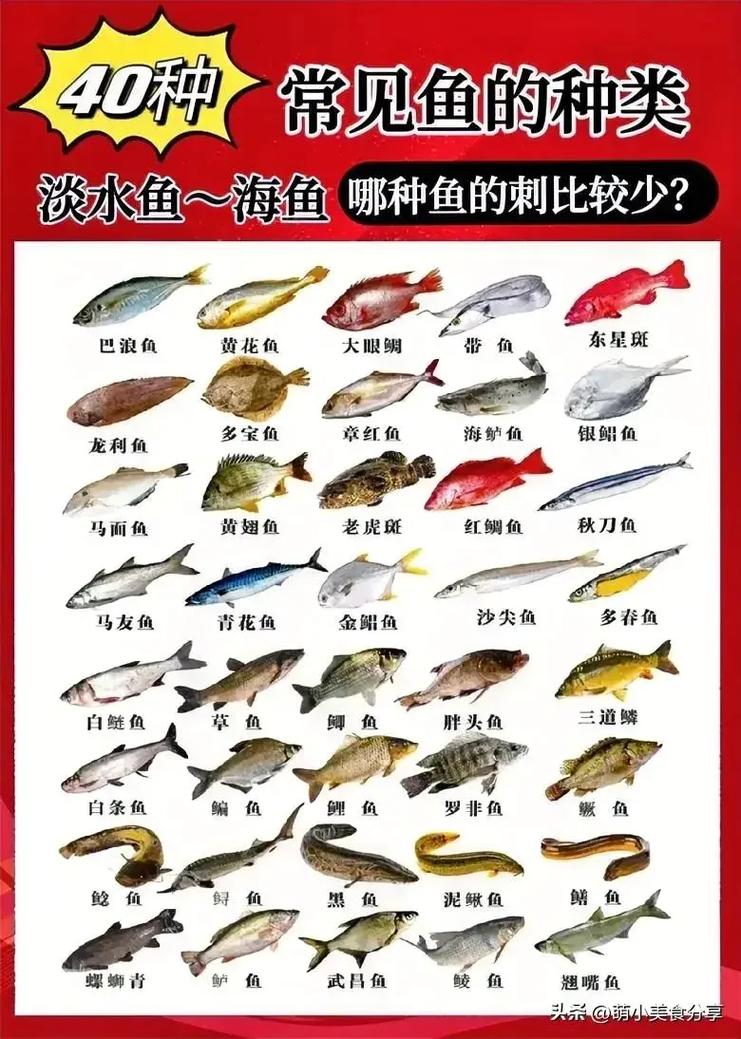 100种常见鱼类