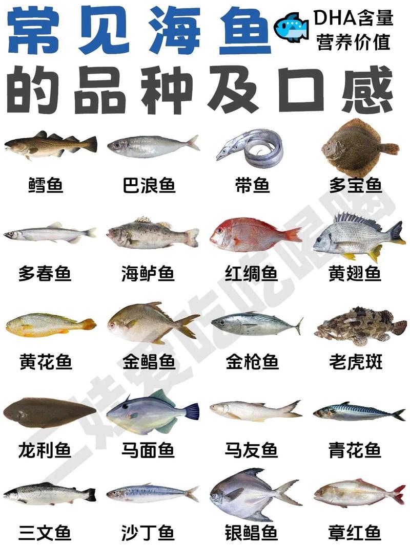 常见海洋鱼类名称及图片大全