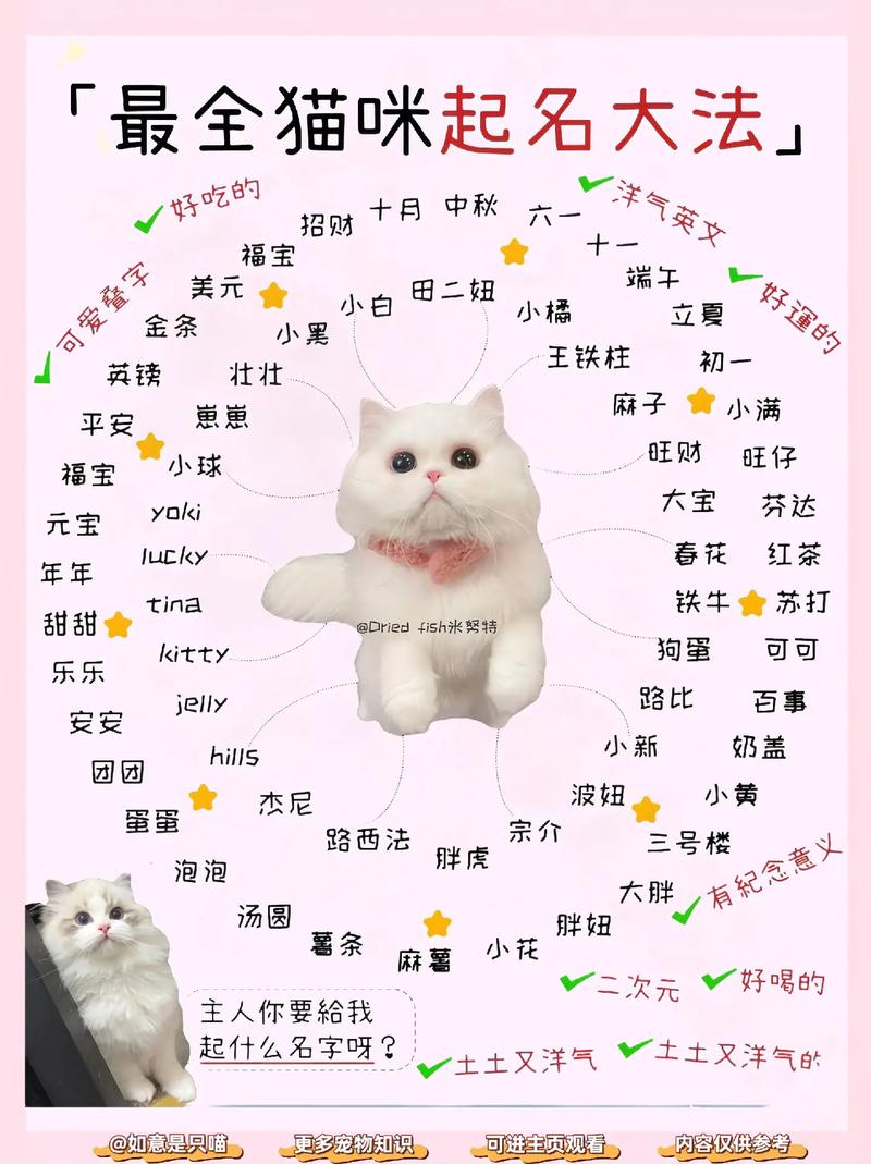 可爱的猫咪名字100个