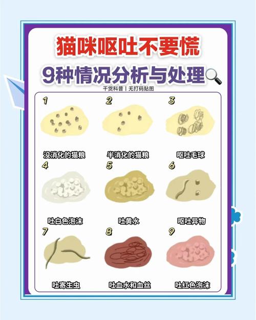 猫咪吃猫粮吐了为什么？猫吃猫粮吐出来是什么情况？