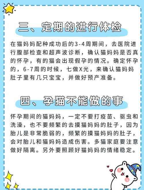 猫咪怀孕注意什么，猫咪怀孕应注意的事项？