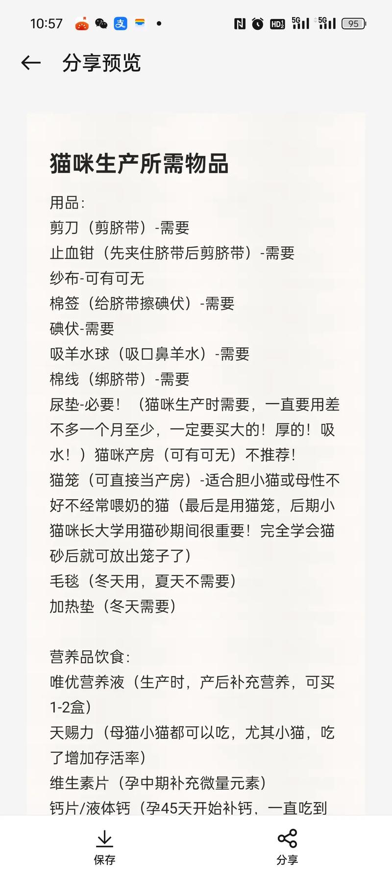 猫咪怀孕了要注意什么