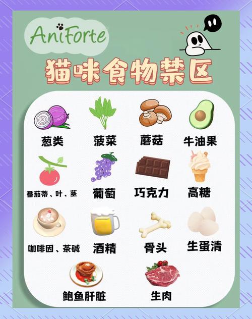 猫咪可以吃奶酪吗，猫咪吃奶酪吗会死吗