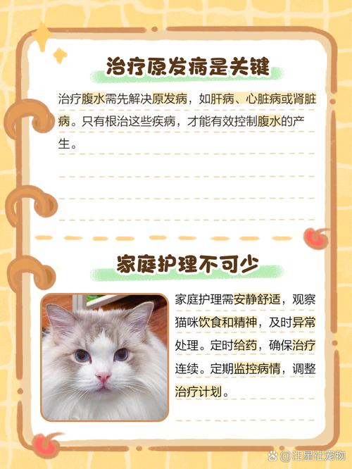 猫腹水怎么把腹水排出来