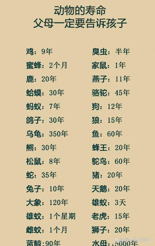 动物寿命排名

