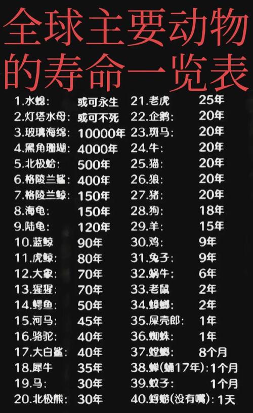 各种动物的寿命都有多长?