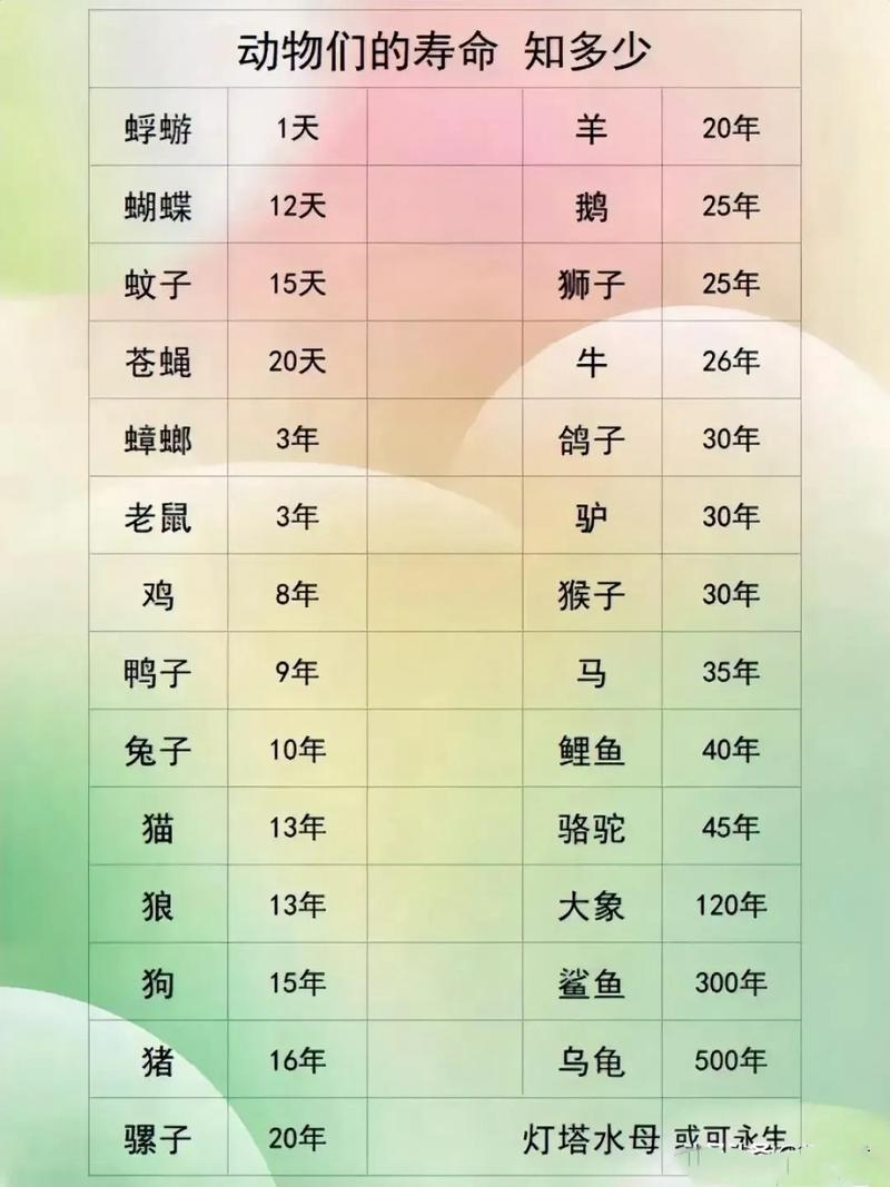 陆地动物寿命