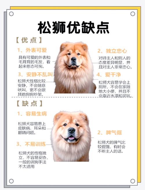 松狮犬多少钱一只啊?