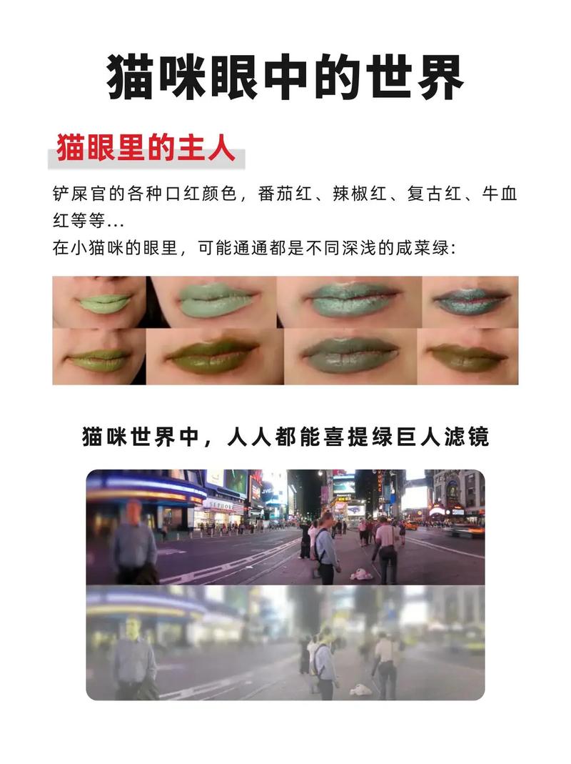 猫咪的世界是什么颜色，猫咪的世界是怎样的？