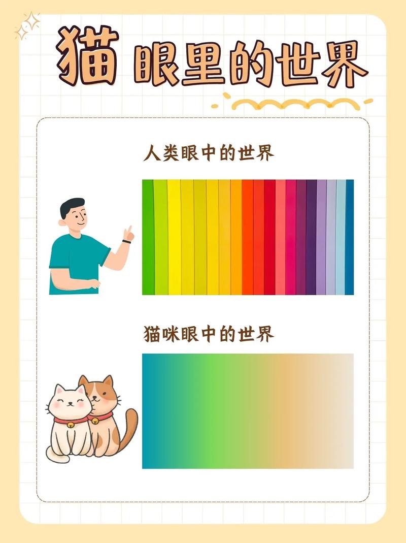 猫的世界是什么颜色的