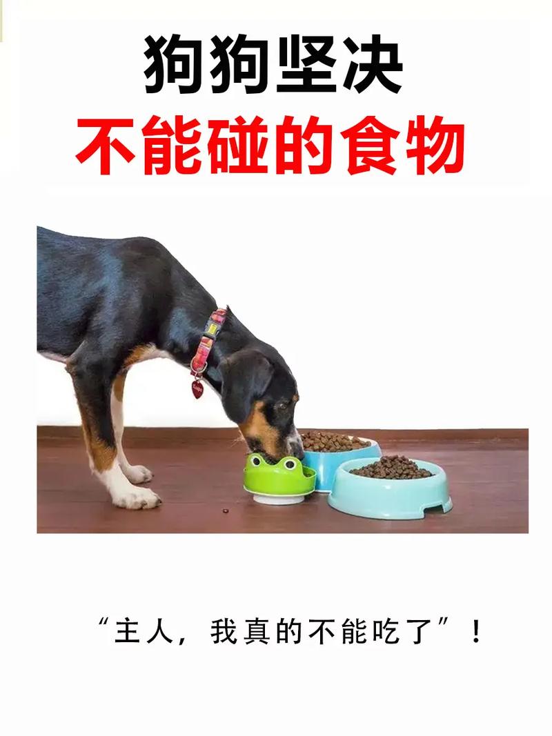 我的小狗不吃蔬菜水果怎么办??