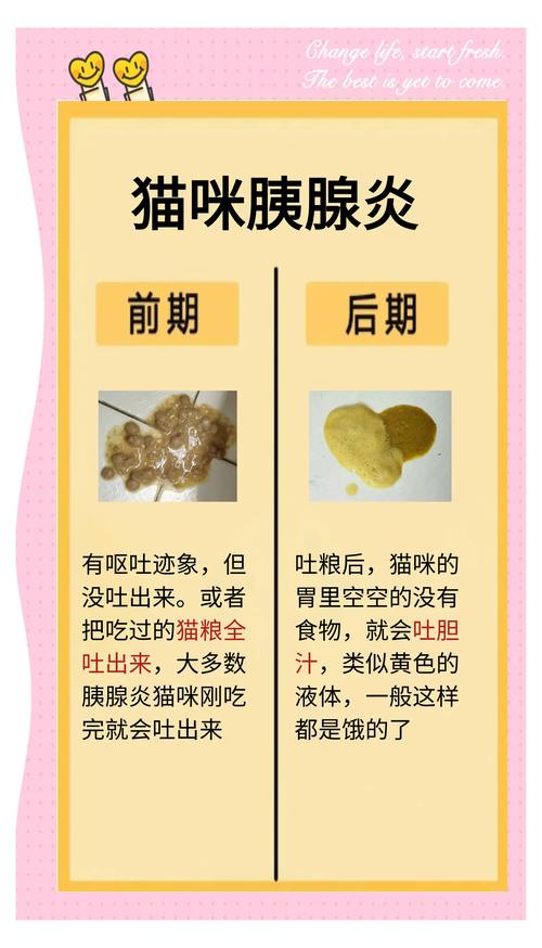 猫胆囊炎要多久