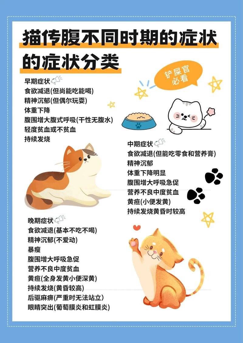 猫咪得了胆囊炎前期会有哪些症状?