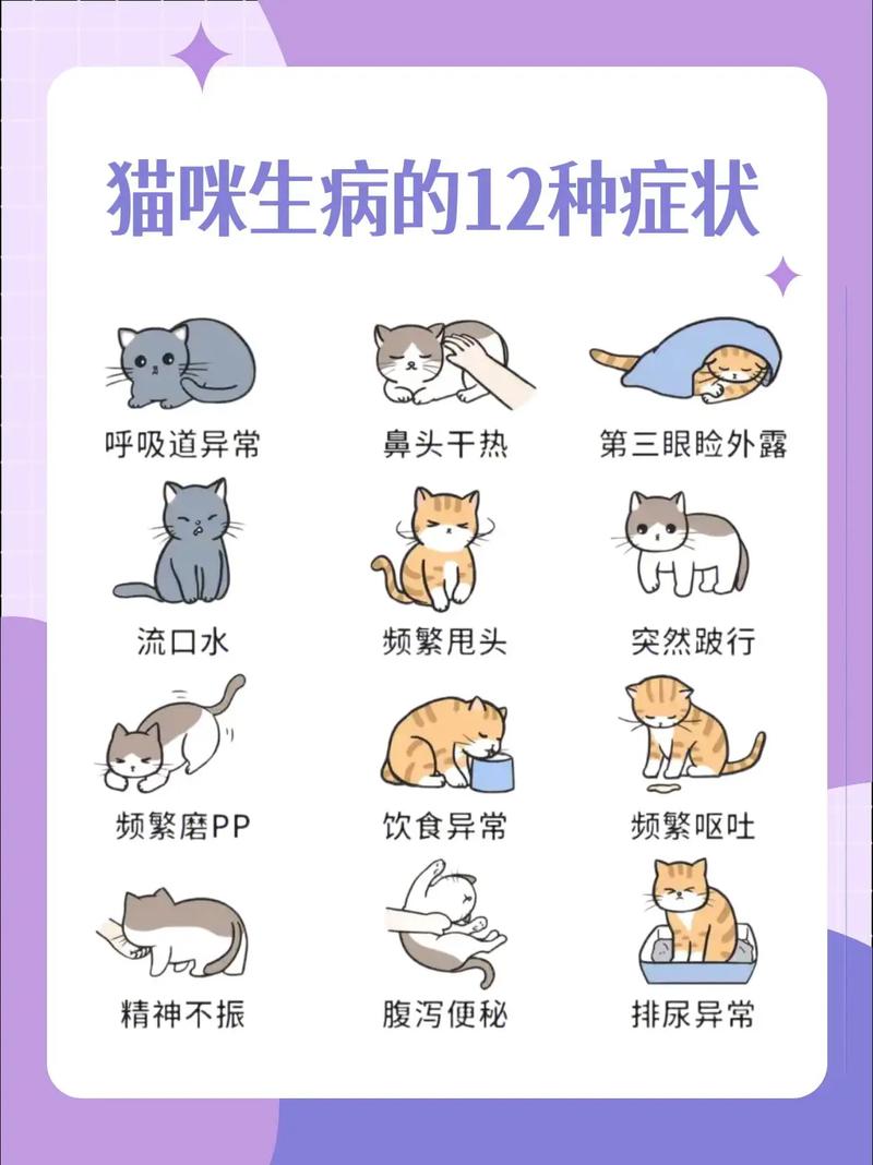 小猫不舒服如何判断是什么病