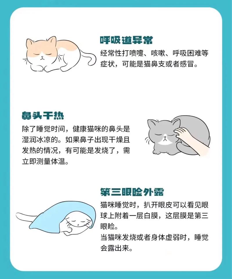 猫咪身体不舒服的常见表现有哪些?该怎么解决?