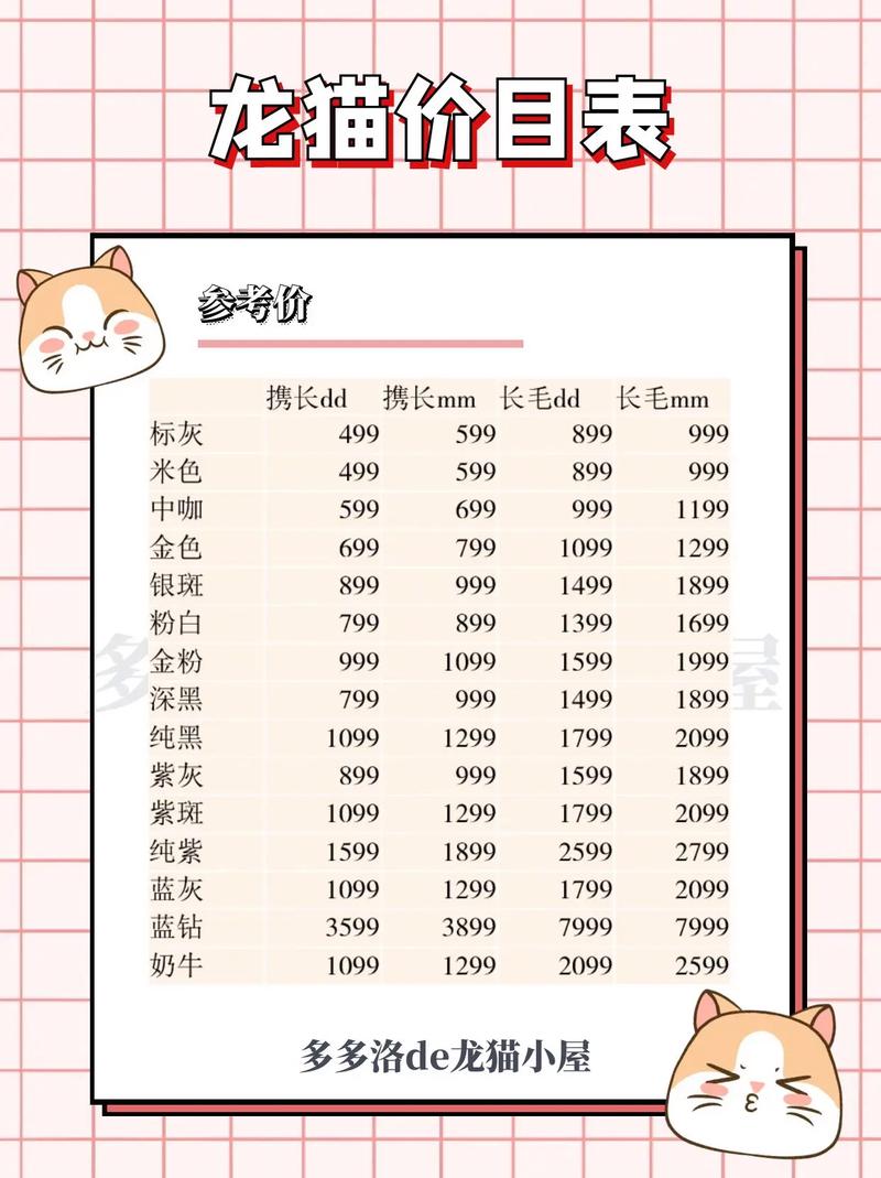 龙猫要多少钱一只