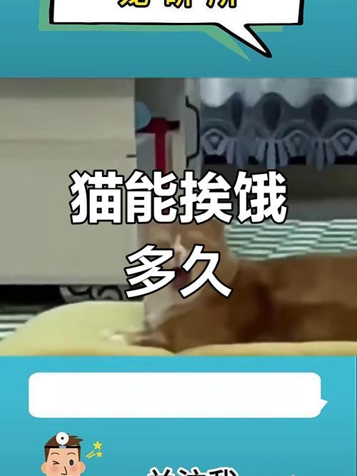 猫能饿几天不吃东西