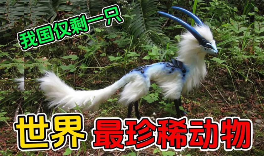 中国稀有动物有哪些?