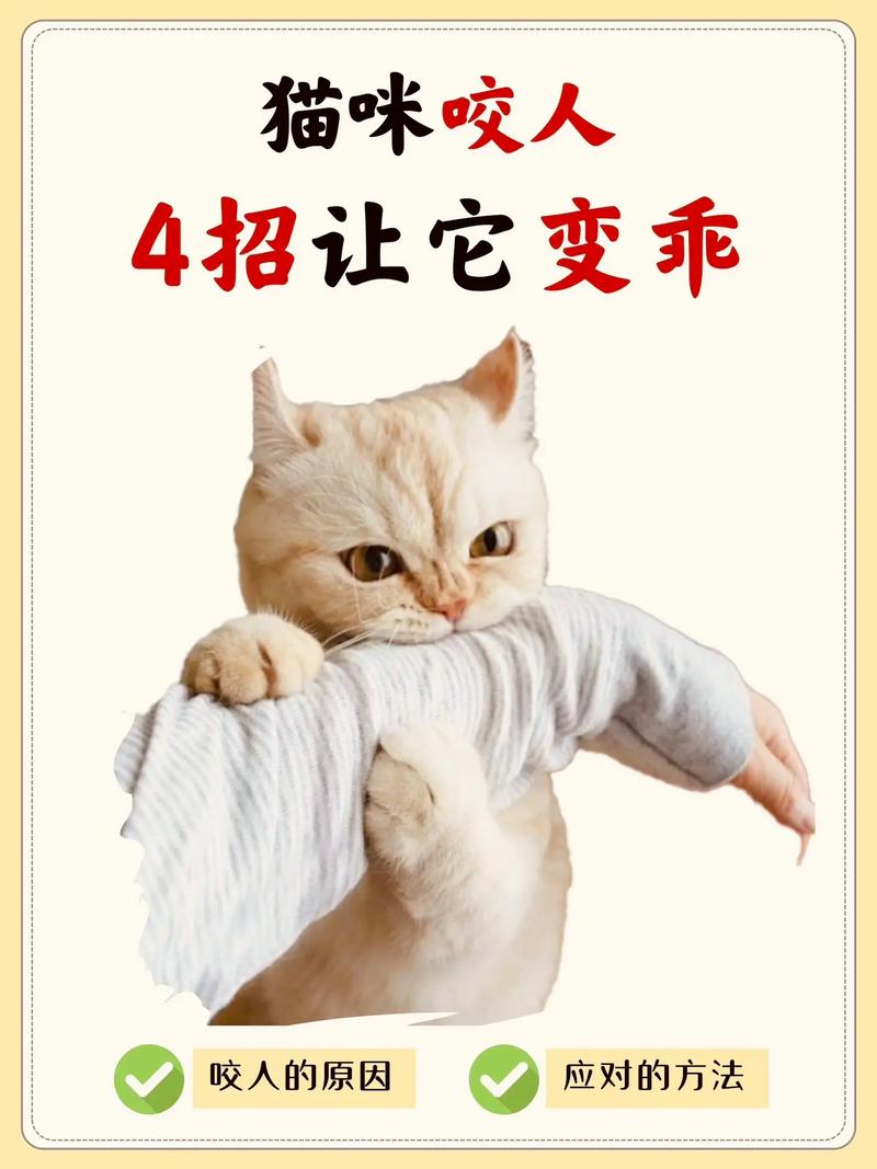 猫咪乱咬东西怎么办，猫爱乱咬东西？