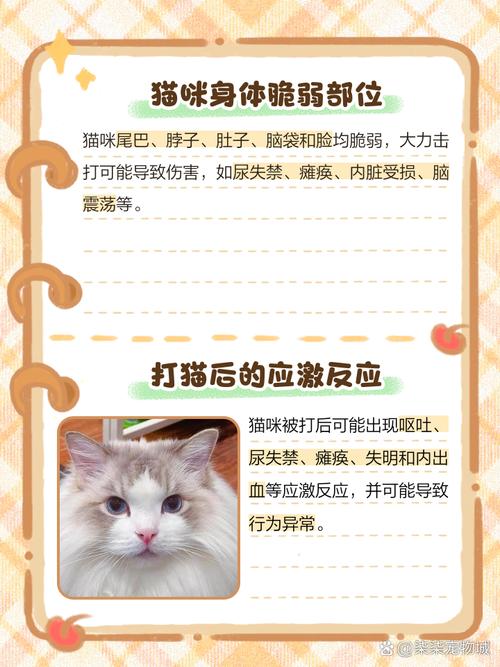 猫被打的快死的表现