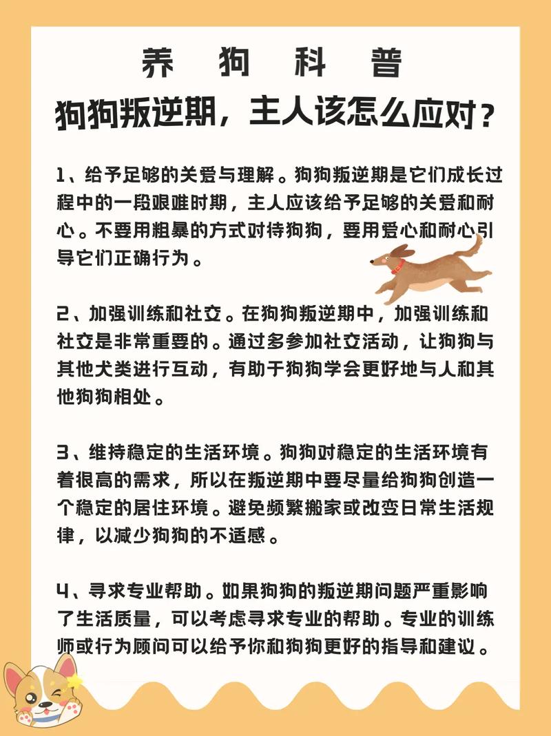 进入叛逆期的狗有多可怕
