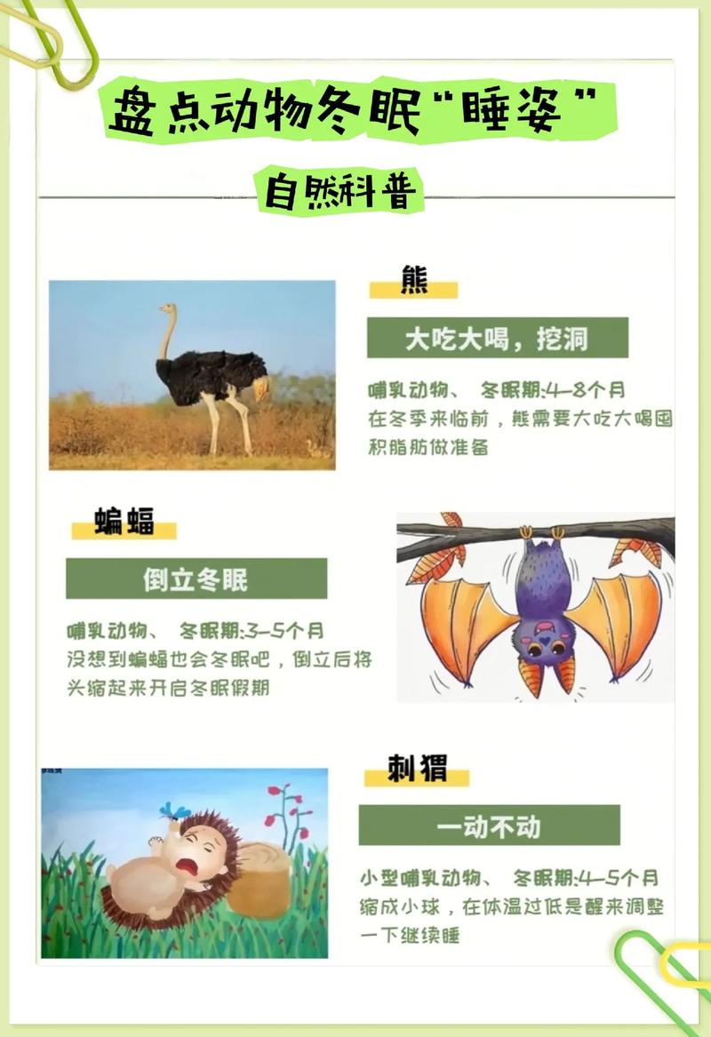 100种冬眠的动物名字，冬眠的动物名称？