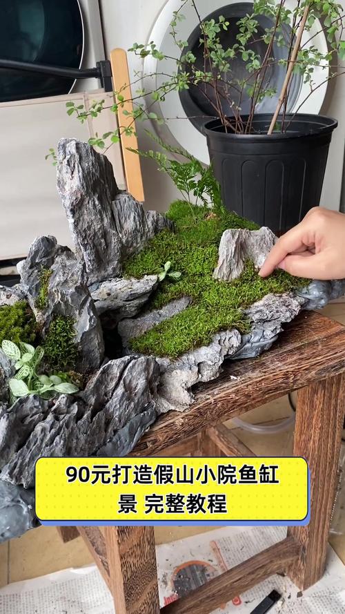 草缸造景制作需要什么需要准备什么