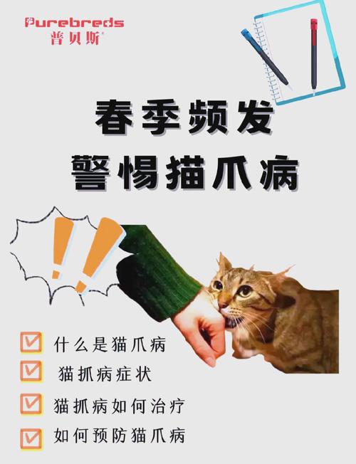 猫咪肉芽肿能自愈吗？猫咪肉芽肿会自己好吗？