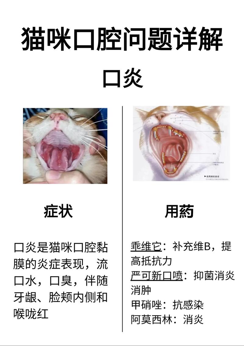 猫口腔肉芽会自愈吗