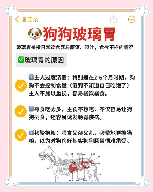 狗狗吃了油炸食品导致腹泻,该怎么处理?
