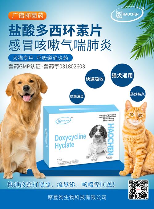 狗狗不吃东西还拉稀怎么办，狗狗不吃东西有点拉稀怎么办？