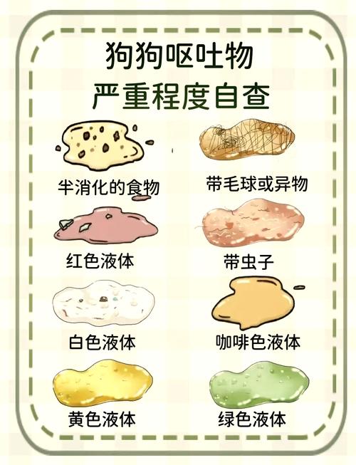 狗拉肚子呕吐没精神不吃东西咋办?