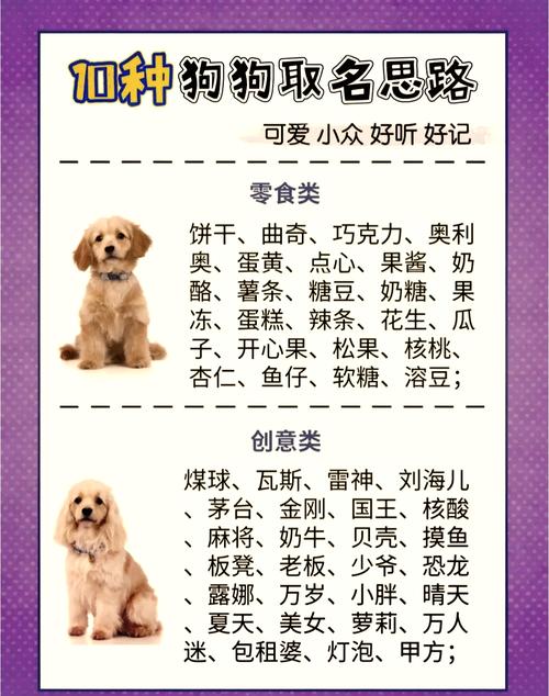 冷门好听的狗狗名字
