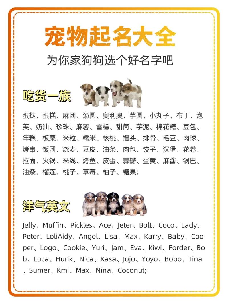 冷门好听的狗名字