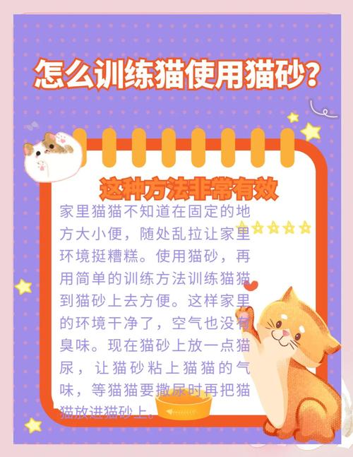 猫咪在家随地大小便该怎么办?