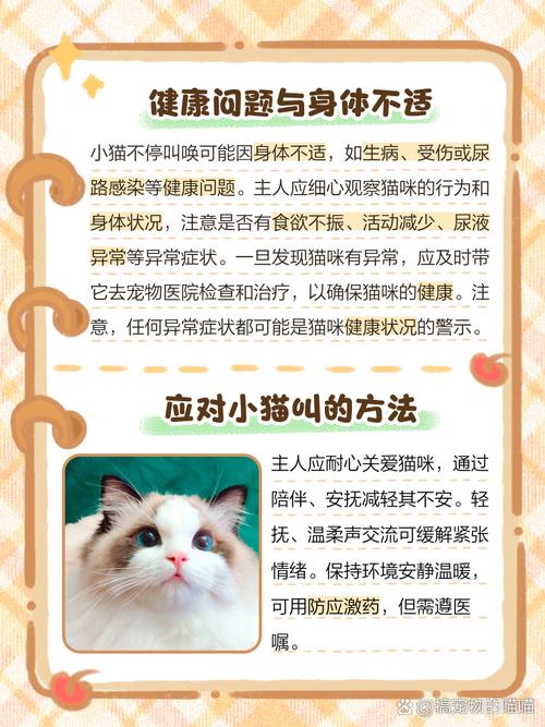 猫咪到新家一直叫怎么办
