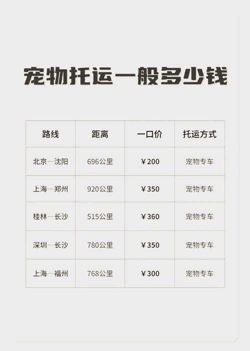 坐飞机猫咪托运要钱吗