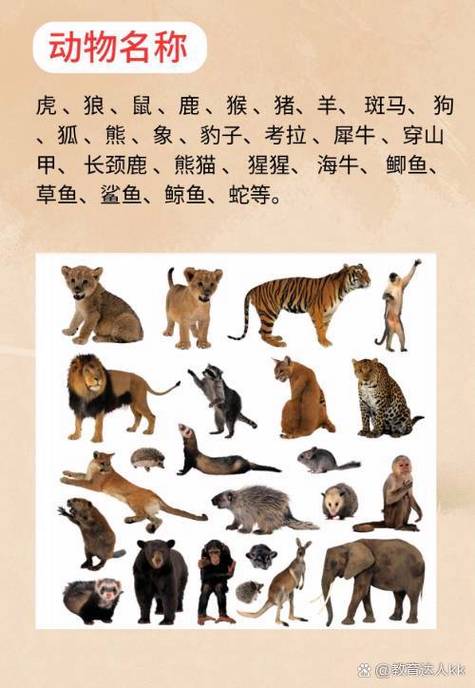 陆地动物有哪些至少写30个