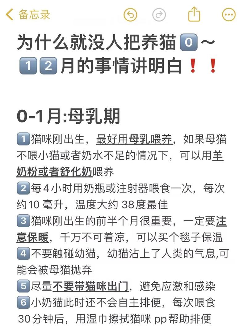小猫要吃几个月奶
