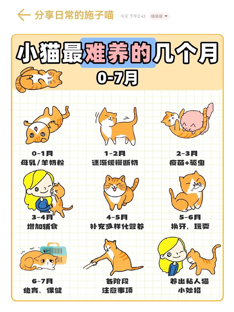 小猫几个月断奶