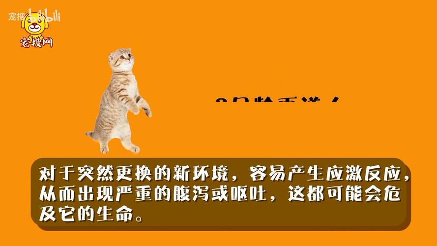小猫咪生长到几个月的时候可以断奶?