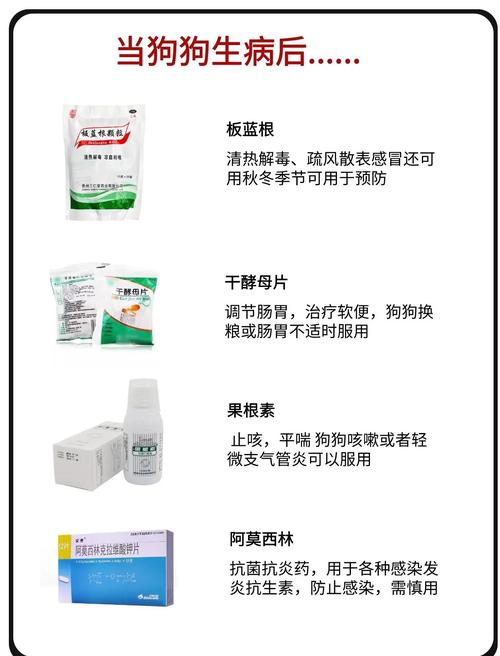 狗狗胃肠感冒吃什么药好