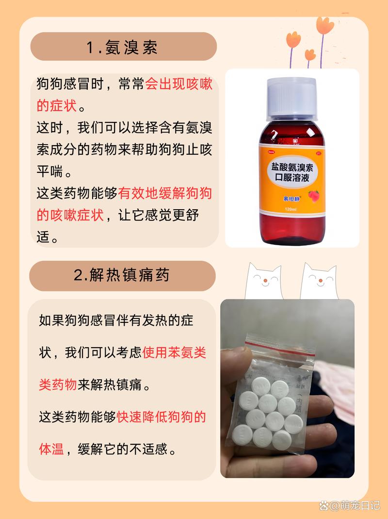 狗狗受凉感冒吃什么药