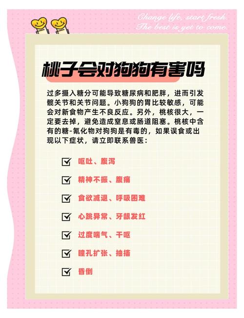 狗能不能吃水蜜桃?