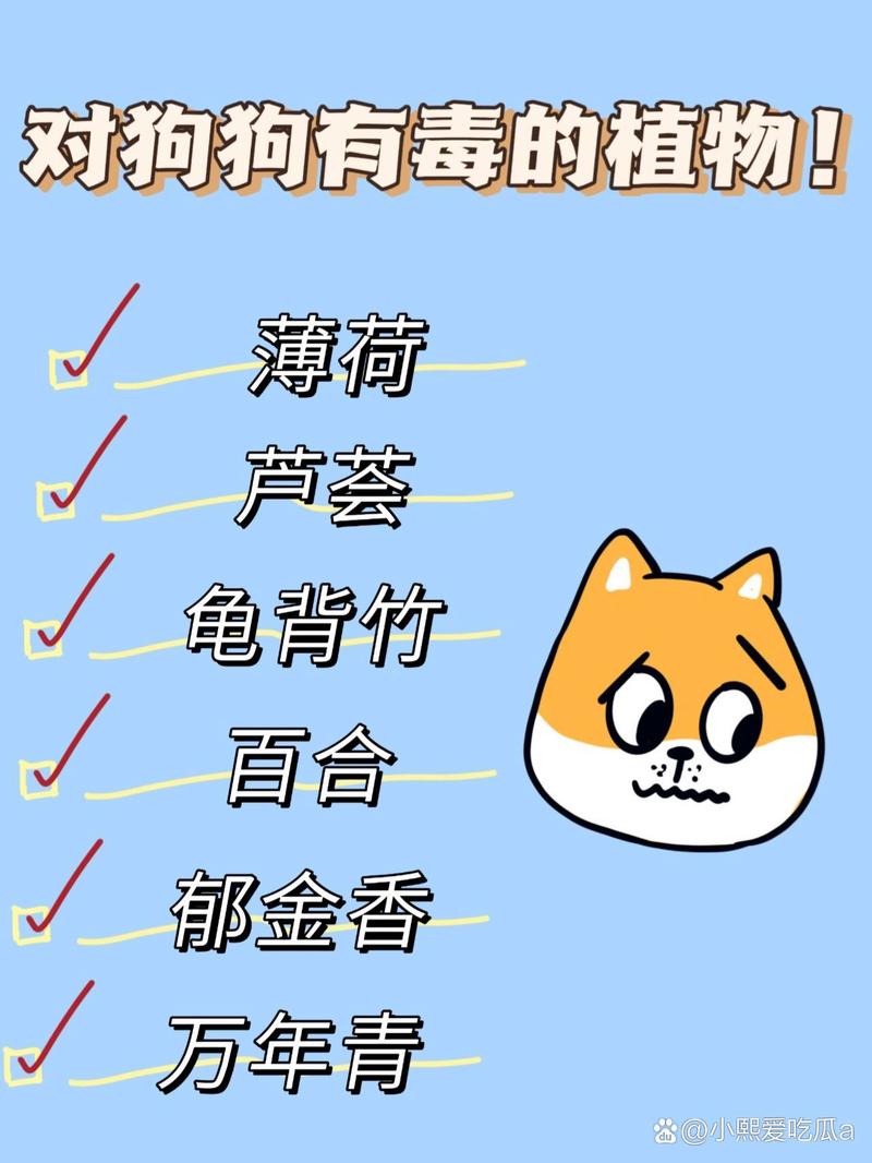 狗狗可以吃薄荷吗