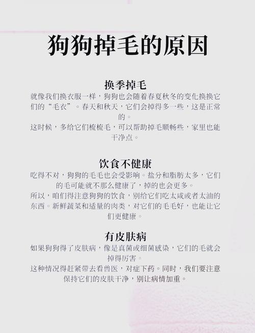 狗狗掉毛严重的八大原因