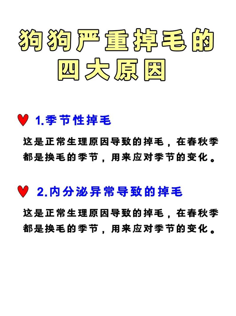 狗狗身上起癣怎么办？