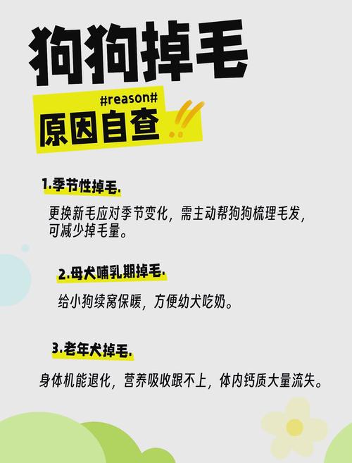 狗狗最近掉毛掉的很严重,什么都吃不下瘦了很多,脸上还成了这样,但_百...